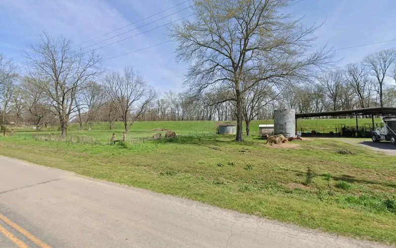 Quality Top Soil & Farms — Topsoil supplier