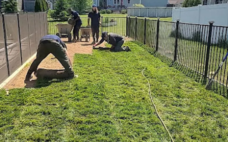 Brockman Tree & Lawn Care — Lawn care service