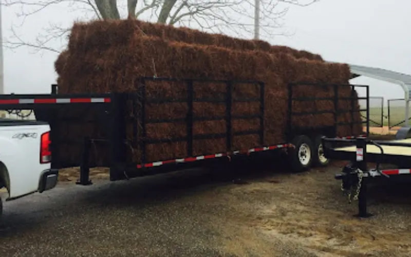 Alabama Pine Straw: Quality & Clean — Landscaping supply store