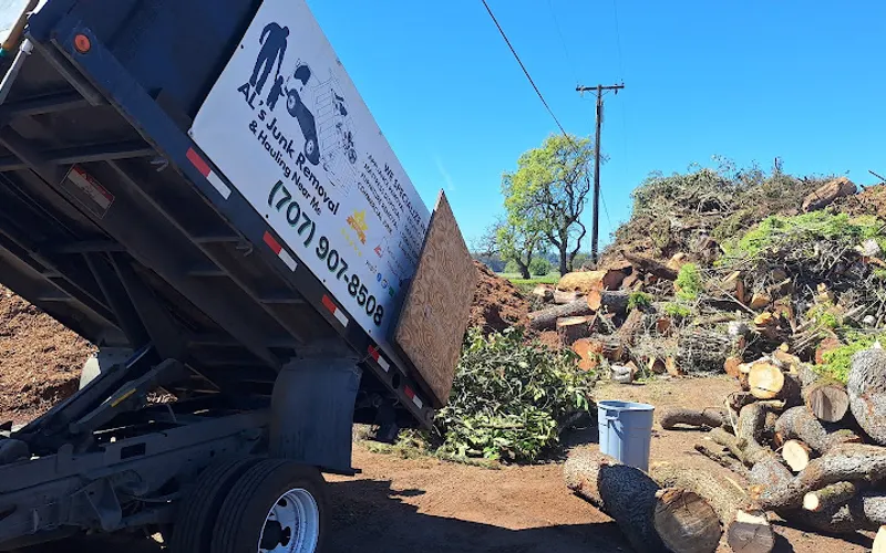 AL's Junk Removal & Hauling Near Me LLC — Junk removal service