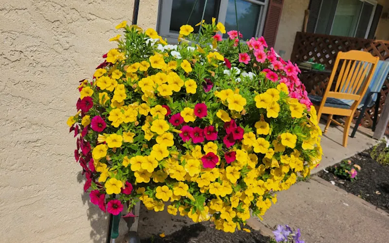 All Seasons Garden Center LLC — Garden center