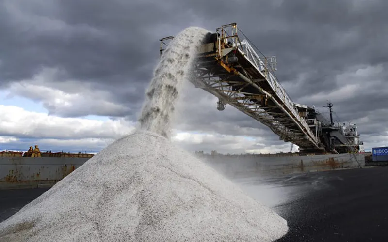 Salt Connection Inc. — Distribution service