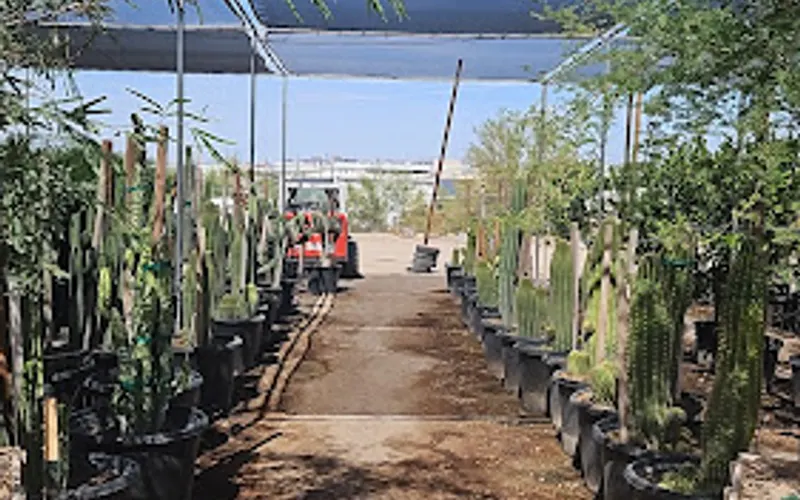 Serrano's Nursery — Plant nursery