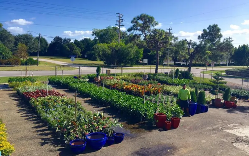 JMC Landscaping & Nursery — Plant nursery