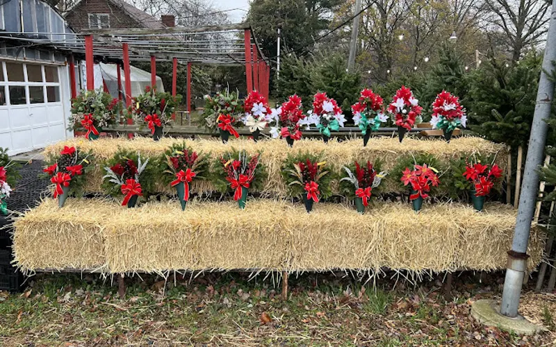 Tree King Plant Mart — Landscaping supply store