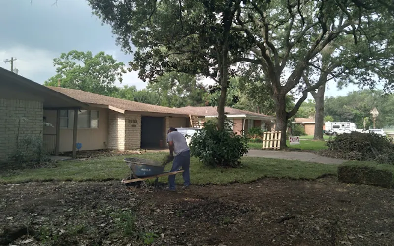 Treeline Houston Grass — Sod supplier