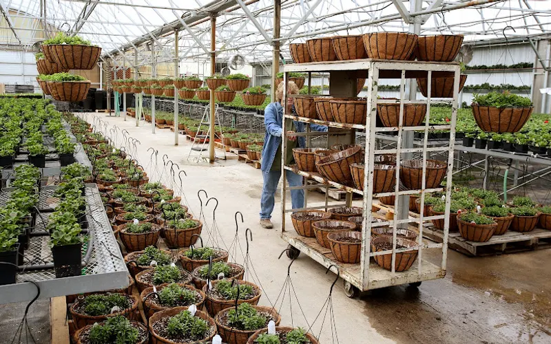 Gainan's Heights Flowers & Garden — Florist