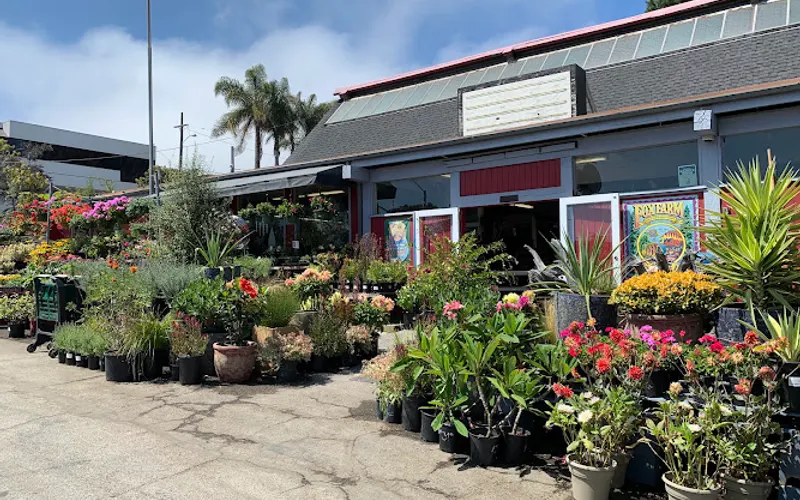 Deep Roots Garden Center — Garden center