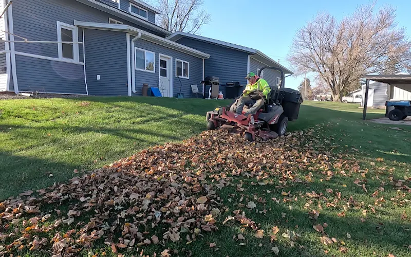 Pagel Services — Lawn care service