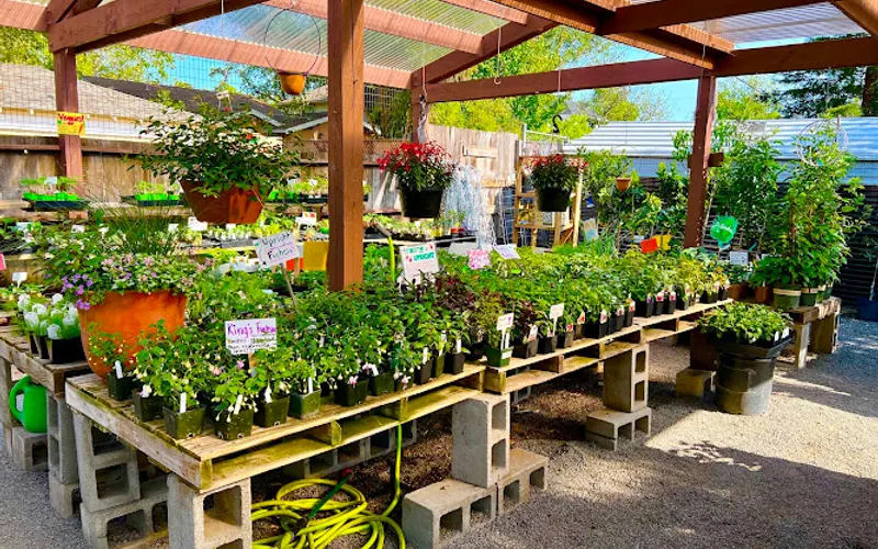 King's Nursery — Plant nursery