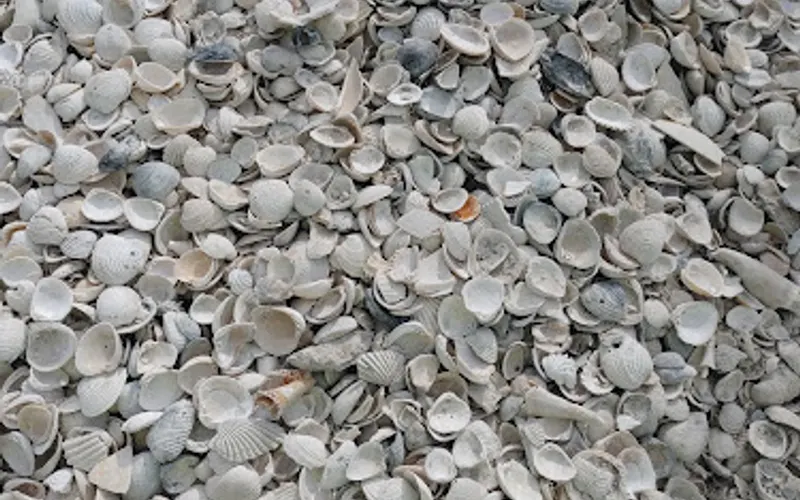 Carolina Supplies & Materials — Landscaping supply store