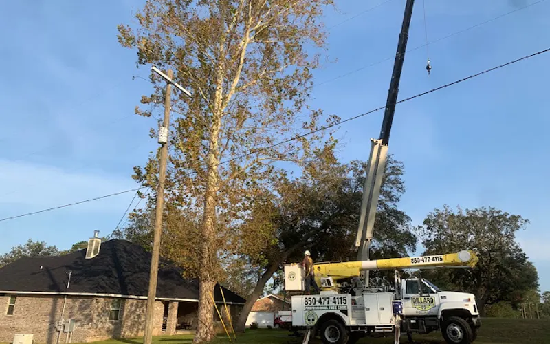 Dillard Land Services — Tree service