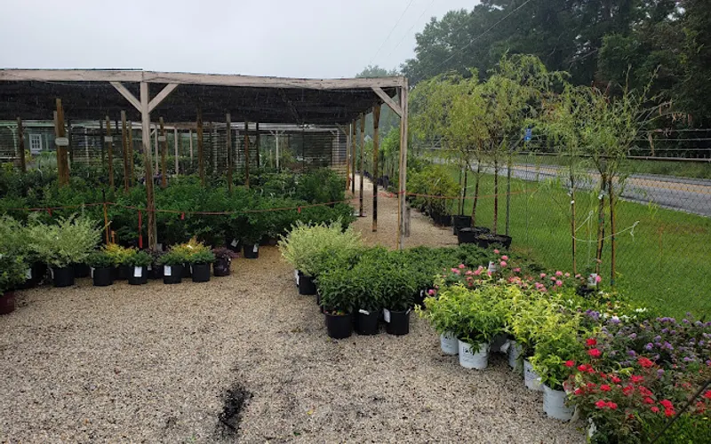 Forest Lake Greenhouses — Greenhouse
