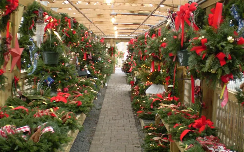 Olney's Flowers (Official Website) — Florist