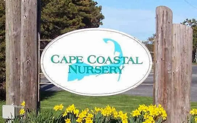 Cape Coastal Nursery — Wholesale plant nursery