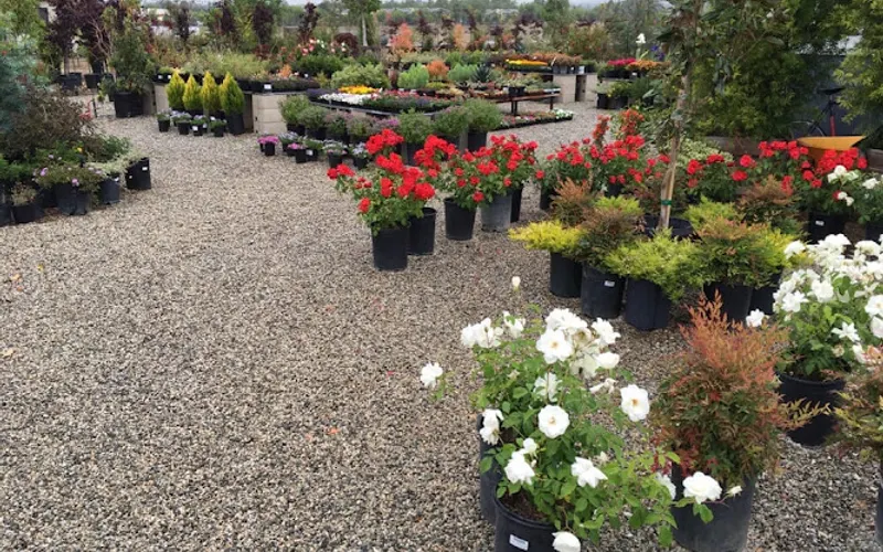 Crown Valley Nursery — Plant nursery