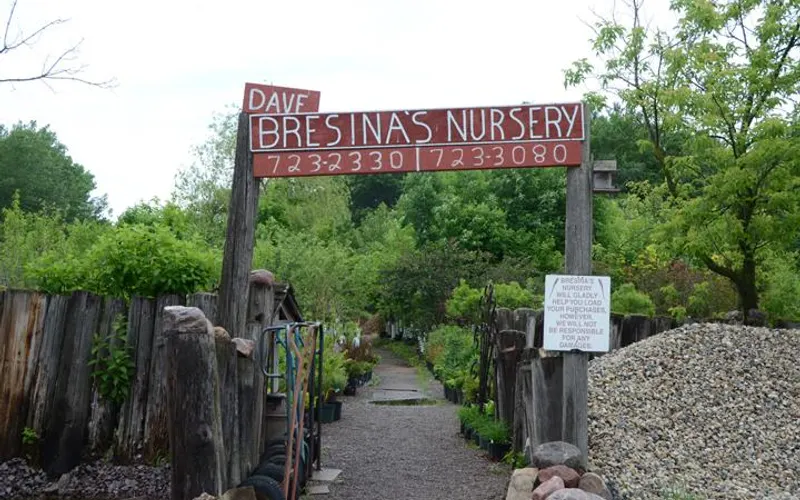 Dave Bresina's Nursery — attractions