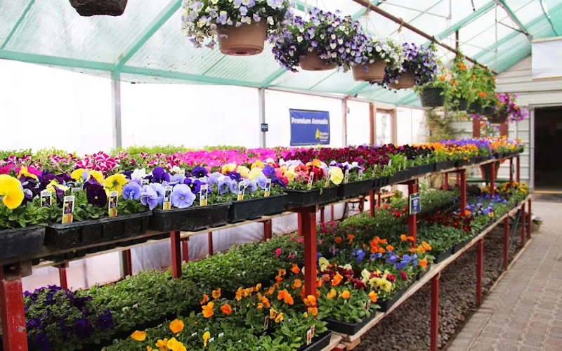 Paradise Nursery — Plant nursery