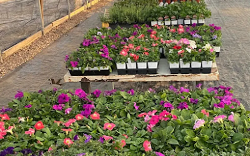 The Greenery — Plant nursery