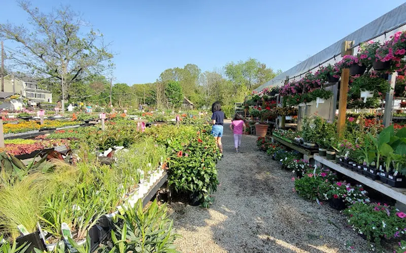 McCue's Garden Center Billerica — Garden center