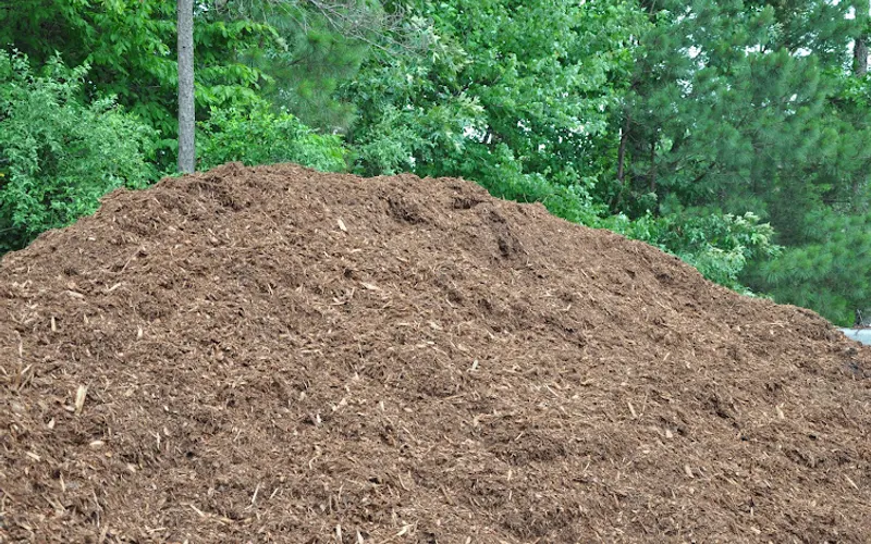 Triangle Landscape Supplies, Raleigh — Topsoil supplier