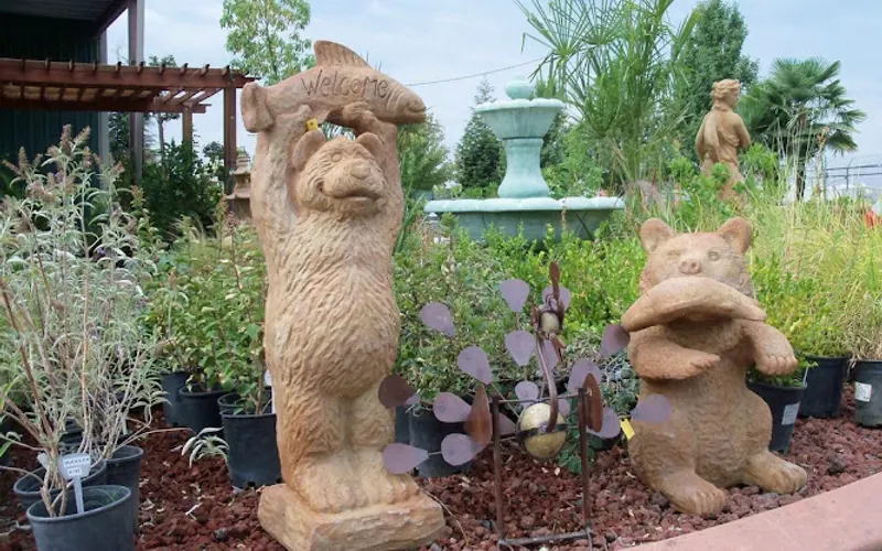 Sal Rodriguez Landscapes — Landscaper