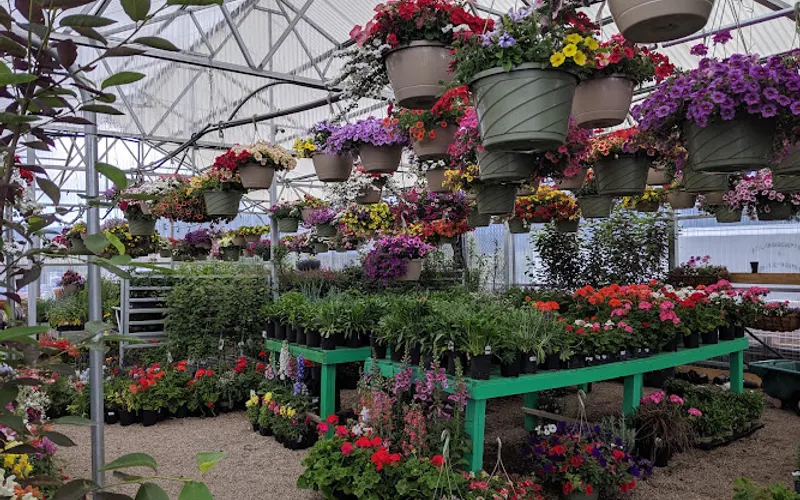 Pacheco's Landscaping & Nursery — Landscaping supply store