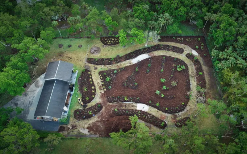 GreenDreams — Plant nursery