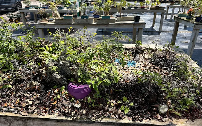 Lousbonsai Nursery — Garden center