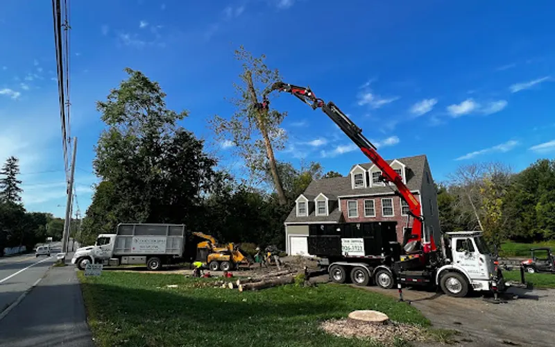 Doug's Tree Service — Tree service