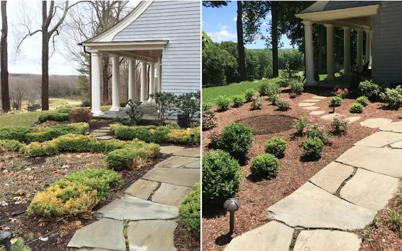Colonial Landscaping & Tree Services — Landscape designer