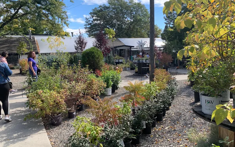 Roots Garden Center — Garden center