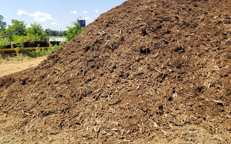 Darren Papaila's Excavating — Excavating contractor