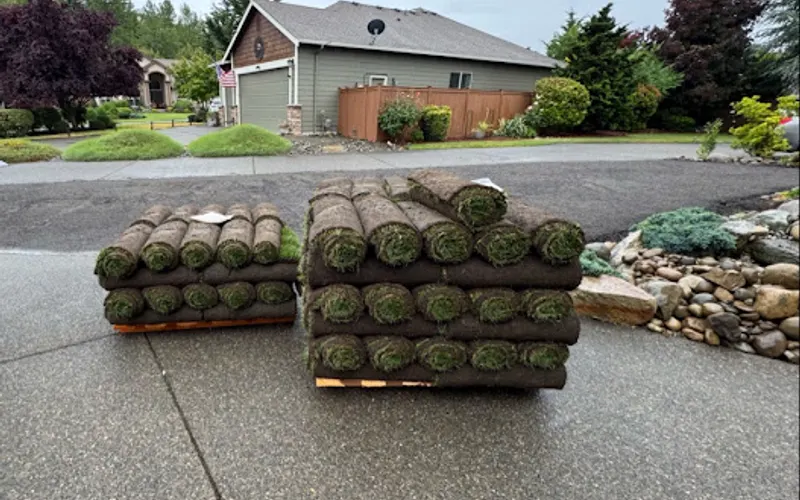 Country Green Turf Farms — Sod supplier