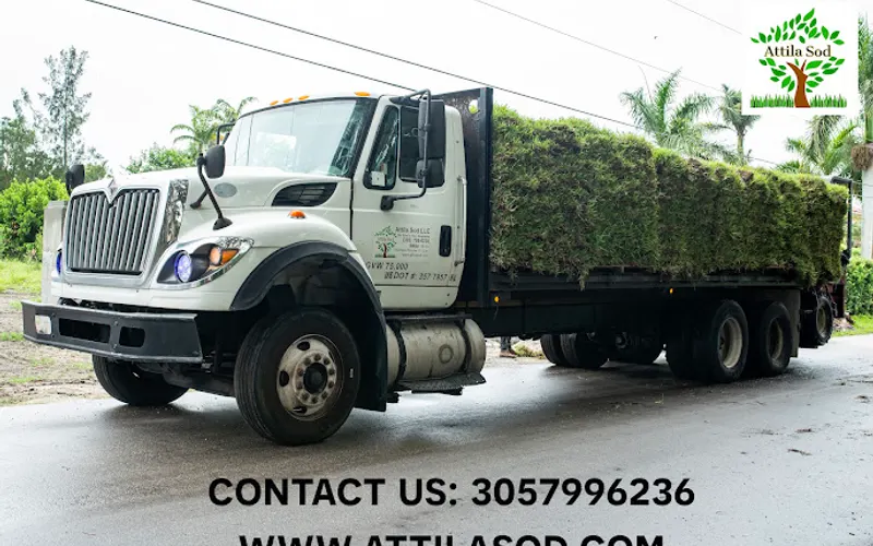 Attila Sod — Sod supplier
