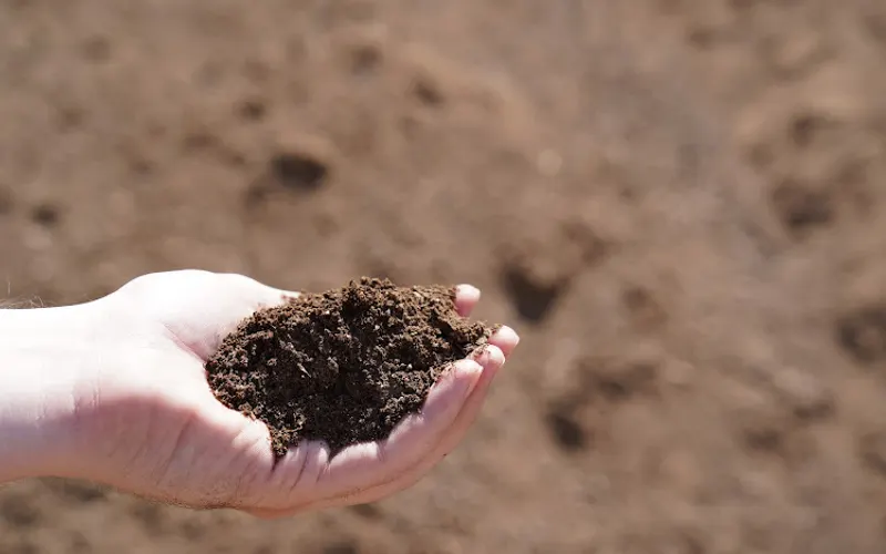 Mr. Good Stuff | Landscape Material Delivery — Topsoil supplier
