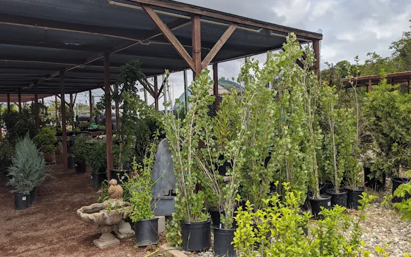 Nottingham Nursery & Garden Supply — Plant nursery