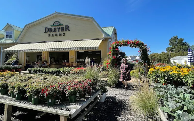 Dreyer Farms — Farm shop