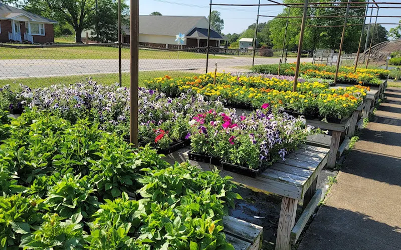 Tarheel Nursery — Plant nursery