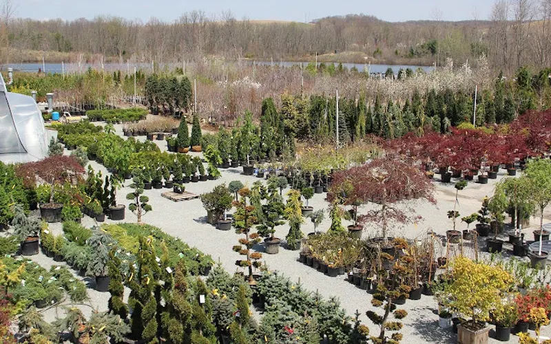 Laurel Nursery/Garden Center — Garden center
