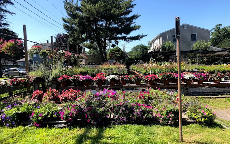 Huberman's Greenhouses — Garden center