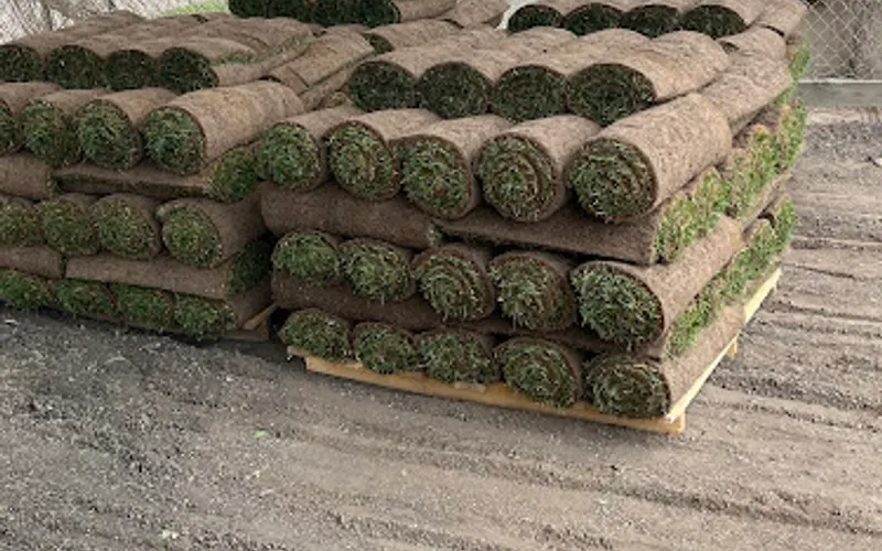 Green Belt Turf Farm Inc. — Sod supplier