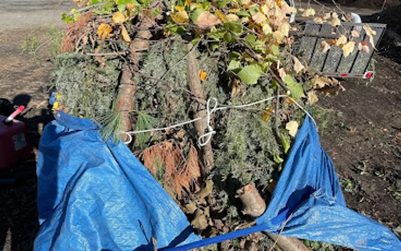Bald Hill Compost Site — Local government office