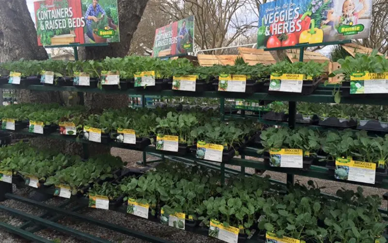 Chastant Bros Inc — Garden center