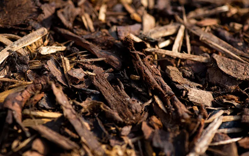Five T Unlimited — Mulch supplier