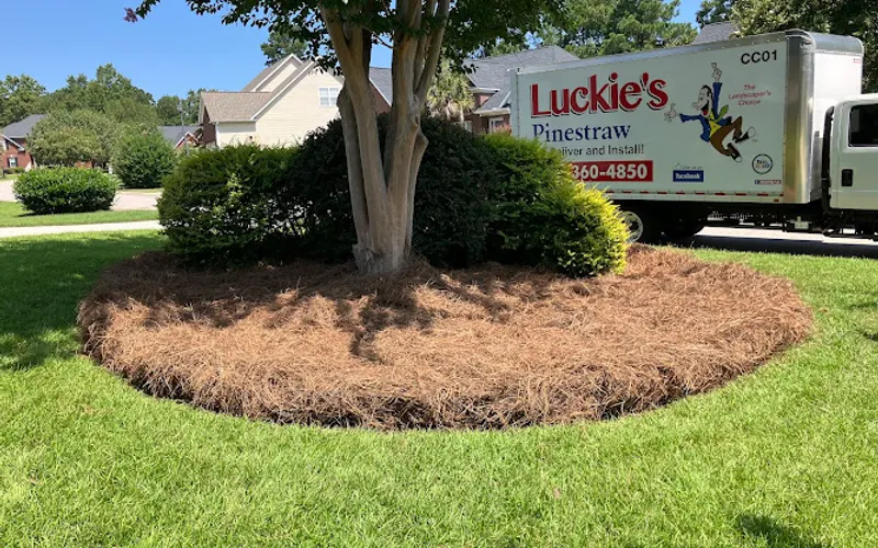 Luckie’s Pinestraw Columbia S.C. — Landscaper