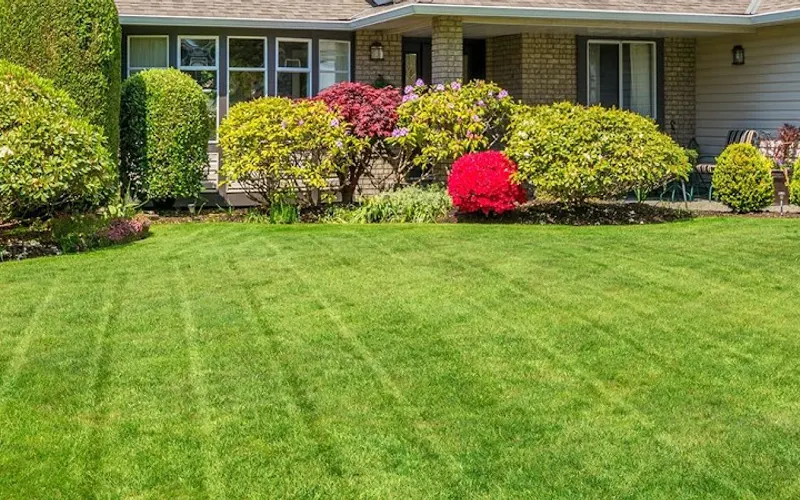 Lawn Masters Lawn & Landscaping Inc — Lawn care service