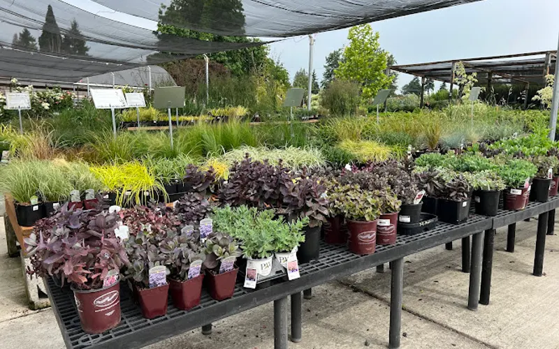 Yard 'n Garden Land Inc — Garden center