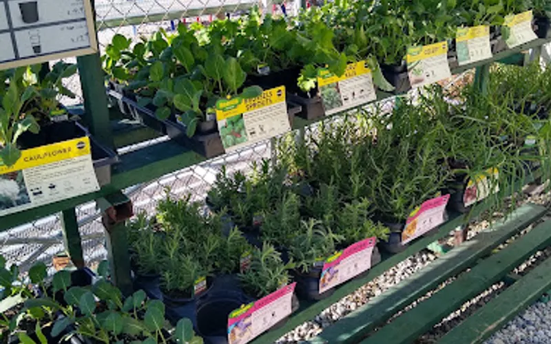 Olivers hardware & Garden Center Inc — Hardware store