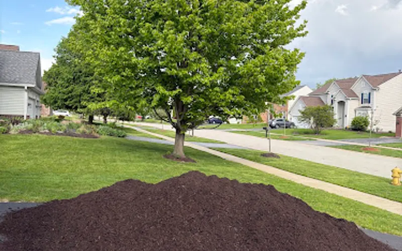 815 Mulch It - Bolingbrook — Mulch supplier